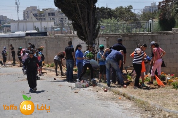 tasoo qemam (48).JPG